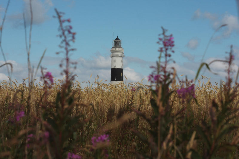 Der Kampener Leuchtturm und viel "Grün"zeug davor. | 50mm | f4 | 1/2000 | ISO 100
